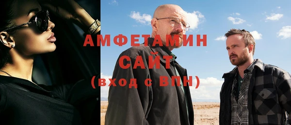 твердый Бородино