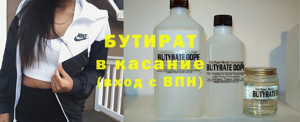 твердый Бородино