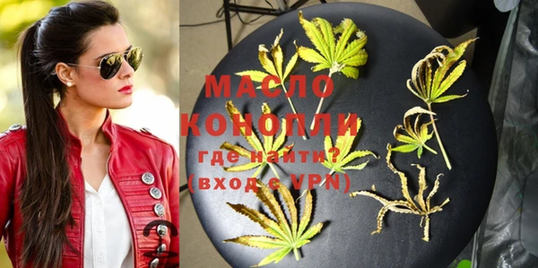твердый Бородино