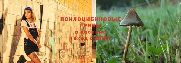твердый Бородино