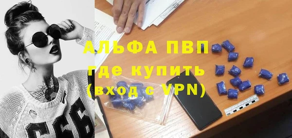 твердый Бородино