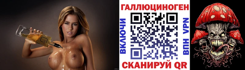 что такое   Новопавловск  Псилоцибиновые грибы GOLDEN TEACHER 